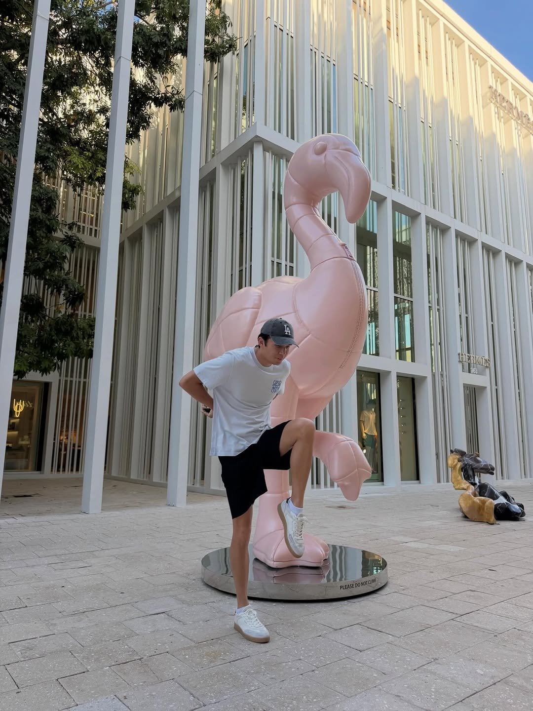 alex_albon 게시물 이미지: Twin where have you been? 🦩🦩