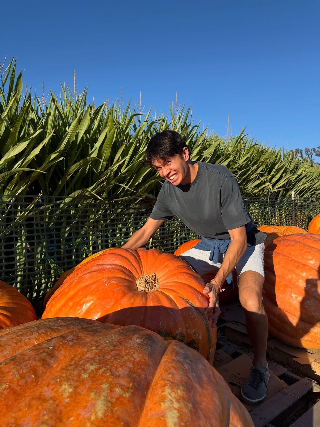 Photo by Alex Albon on November 03, 2025. May be an image of squash, gourd, pumpkin and text.