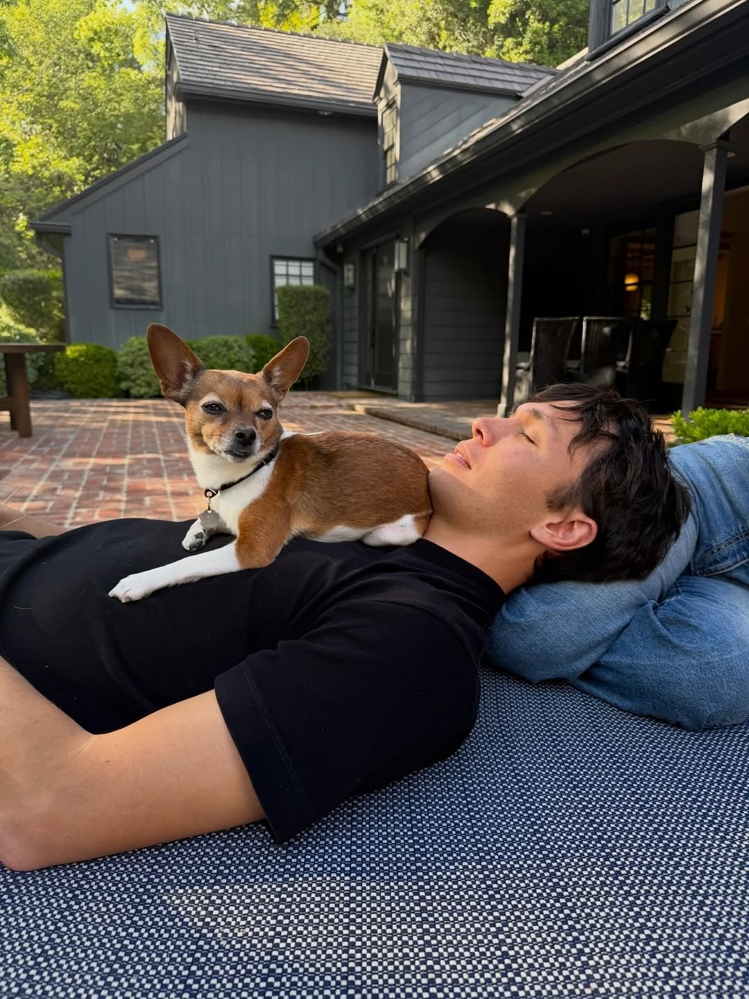 Photo by Alex Albon on April 27, 2026. May be an image of chihuahua, beanbag chair and text.