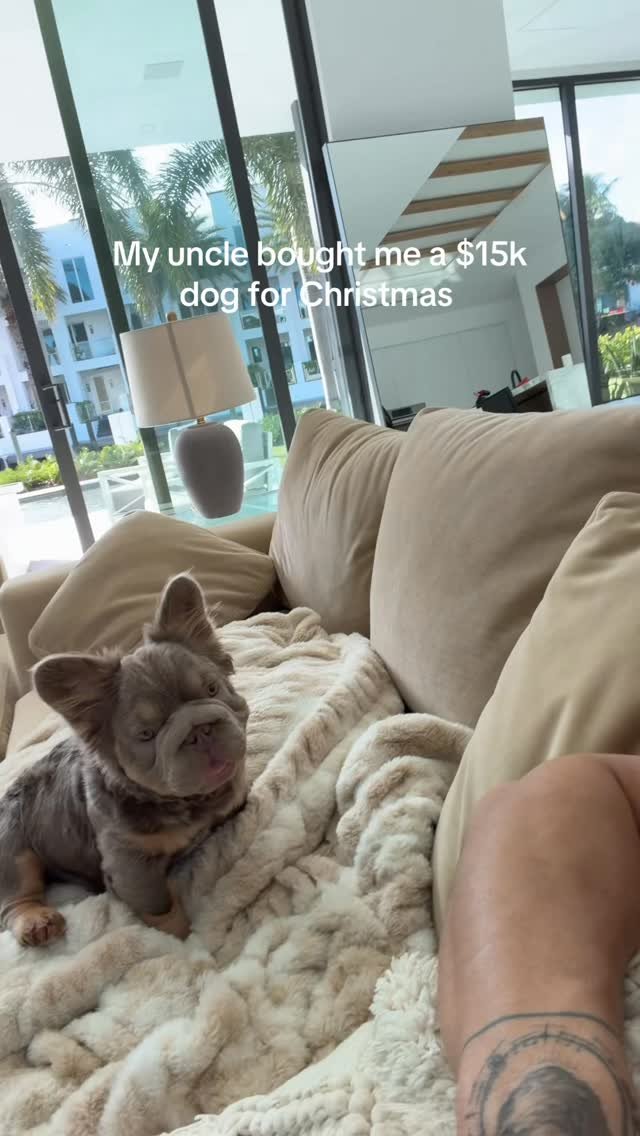 alex_eubank15 게시물 이미지: FINNEGAN THE GOAT
CODE ALEX
@youngla • ...