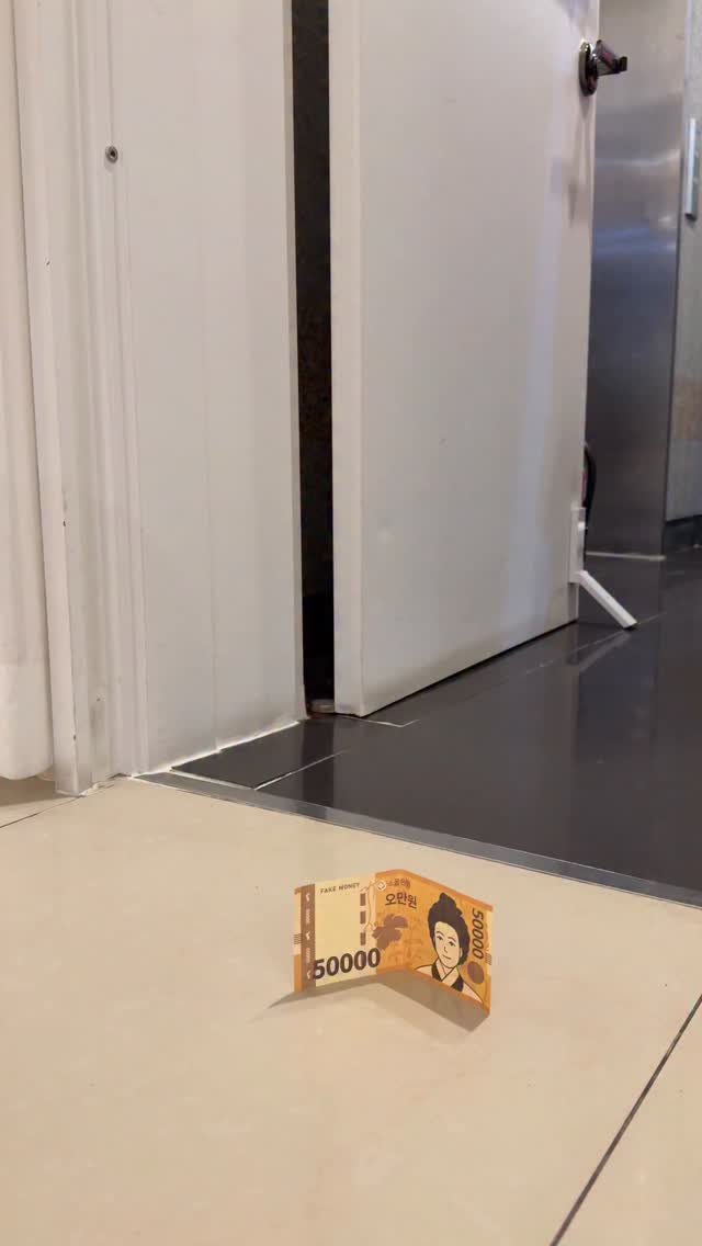 alex_jh55 게시물 이미지: 어서오세요 바바클리닉입니다💜
.
#바바성형외과 #바바클리닉...