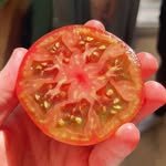 letskwoowk 프로필 사진