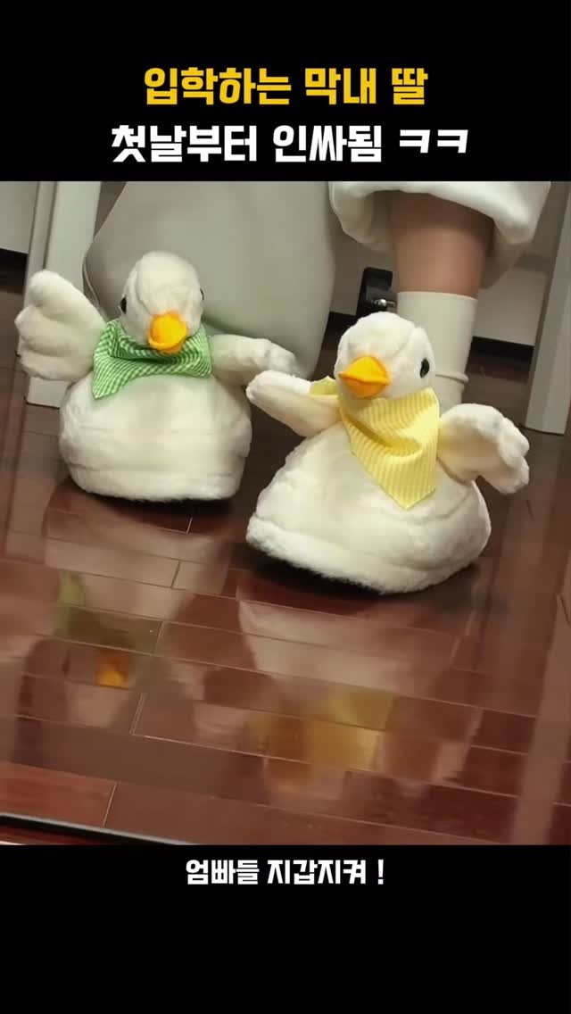 algo__cat 게시물 이미지: 댓글에 '파닥' 남겨주세요🦢

전엔 이런 슬리퍼 있는 줄도 몰랐어요… 😳

폭신한...