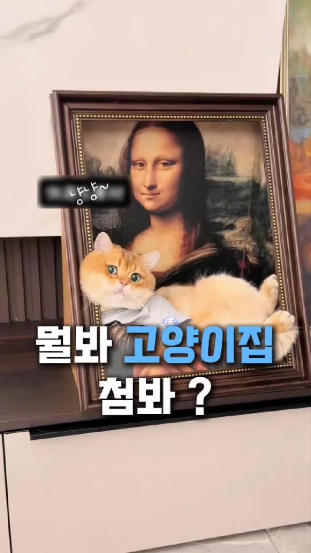 algo__cat 게시물 이미지: 댓글에 ‘냥’ 남겨주시면 링크 보내드릴게요 🐾

모나리자 품안에 감쪽같이 숨어있는...