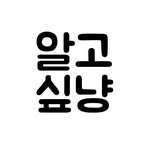 algo__cat 인스타그램 프로필 사진