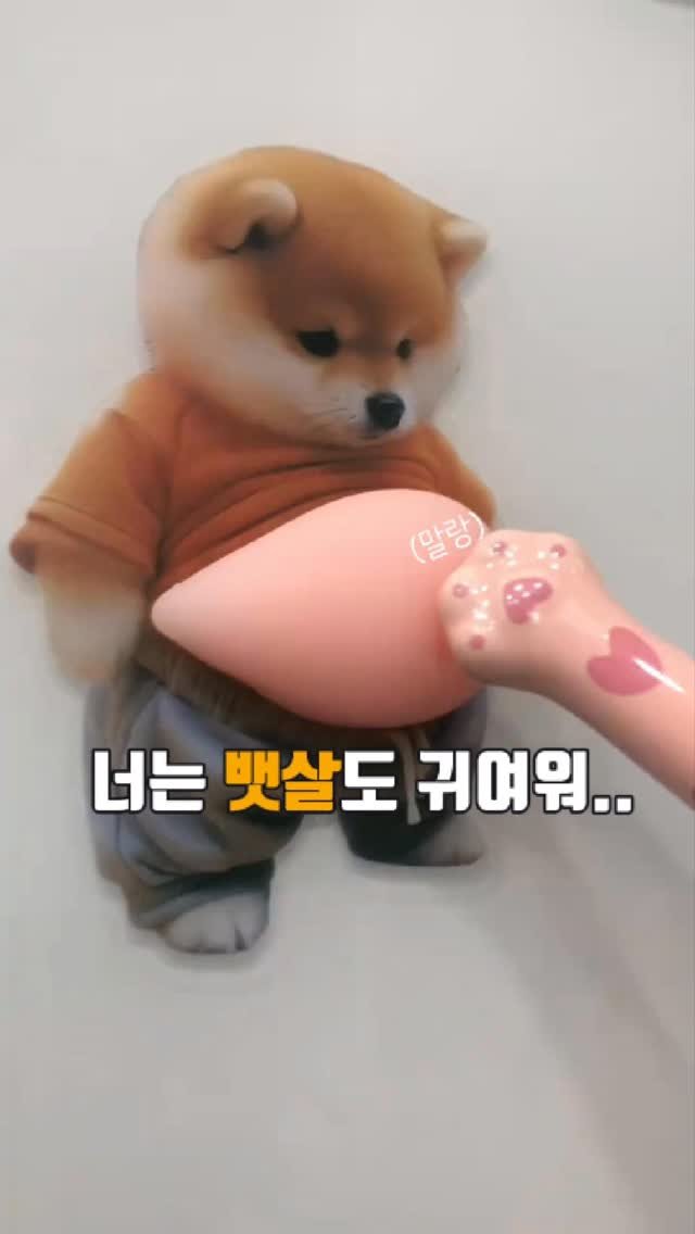 algo__cat 게시물 이미지: 댓글에 '쫀득' 남겨주시면 링크보내주겠다냥🐱

문콕방지 강아지 뱃살스티커 패드다냥...