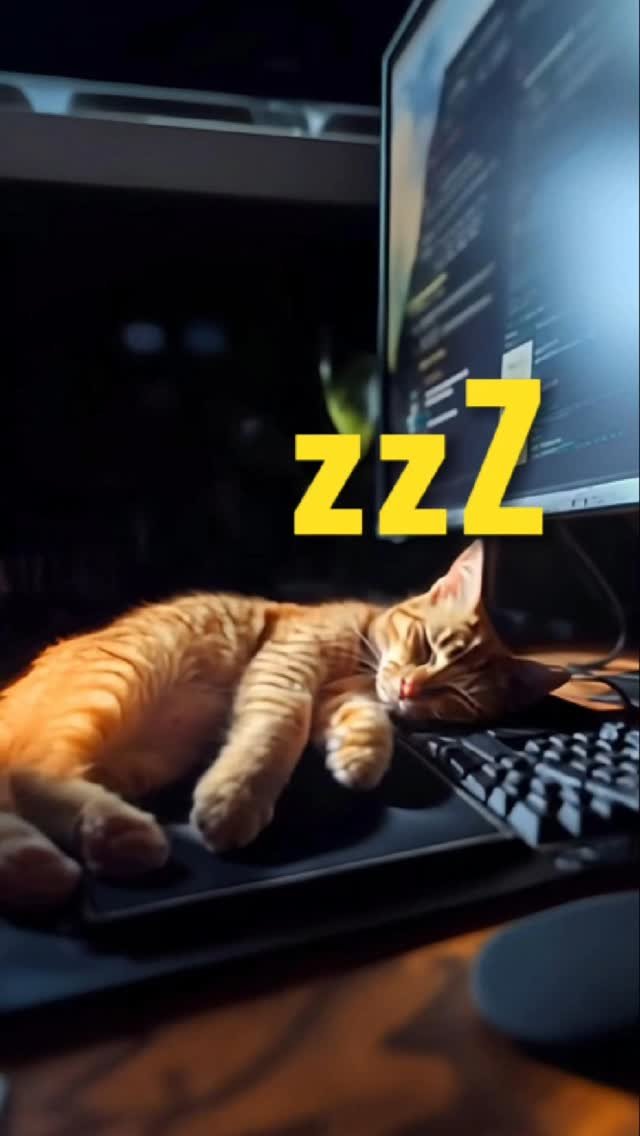 algo_cat 게시물 이미지: 코고는 고양이
#고양이 #cat #아기고양이 #animal