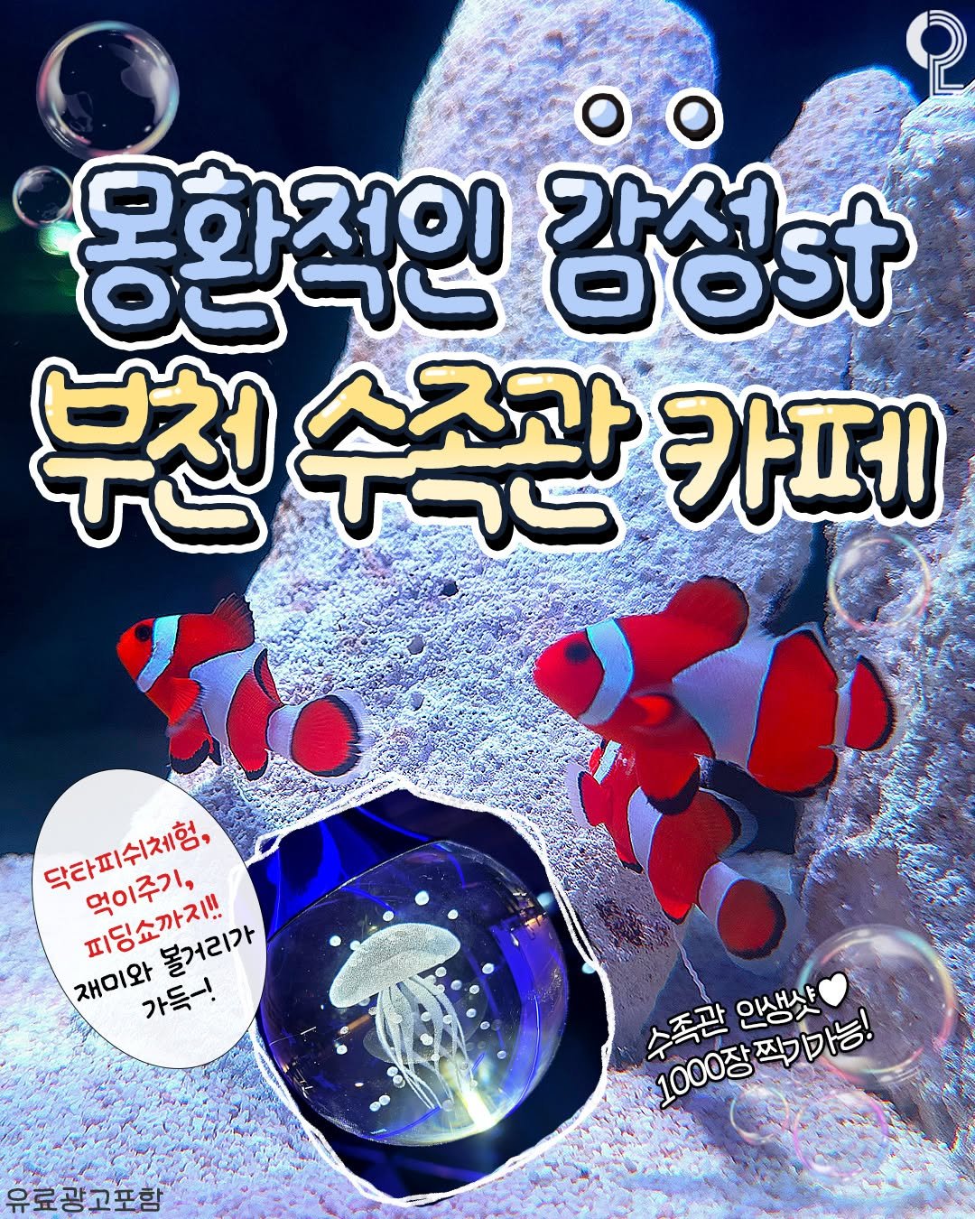 Photo by 부천에서 뭐 하지? 부천맛집 부천카페 부천여행 부천가볼만한곳 on February 19, 2026. May be an image of text that says '몽환적인 강성 감성t 부천 부천수족관 수족관 카페 o 닥타피쉬체험, 먹이주기, 피딩쇼까지!! 볼거리가 재미와 가득-! 유료광고포함 수족관 스족관인생샷 수포잡입니니기가능! 인생샷 1000장짝기마능! 1000장'.