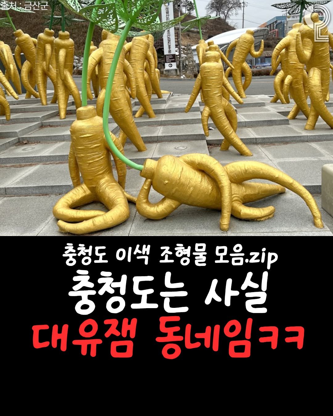 Photo shared by 청주에서 뭐 하지? 청주맛집 청주카페 청주여행 청주가볼만한곳 on August 11, 2025 tagging @all.about.daejeon, @all.about.cheonan, and @all.about.sejong. May be an image of text that says '출처:금산군 A 충청도 이색 조형물 모음.zip 충청도는 사실 대유잼 동네임ㅋ'.