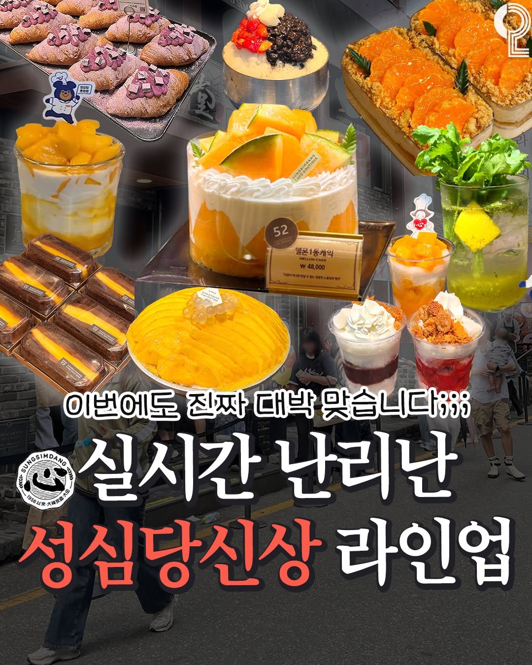 all.about.daejeon 게시물 이미지: 이번달 성심당 신상 라인업 난리남;;

#망코초코산도
📍판매처: 성심당 DCC...
