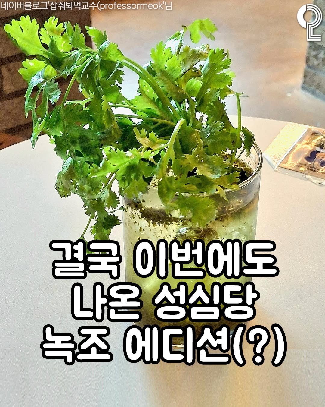 all.about.daejeon 게시물 이미지: 결국 이번에도 나온 성심당 녹조 에디션(?)

여러분! 작년에 충격적인...