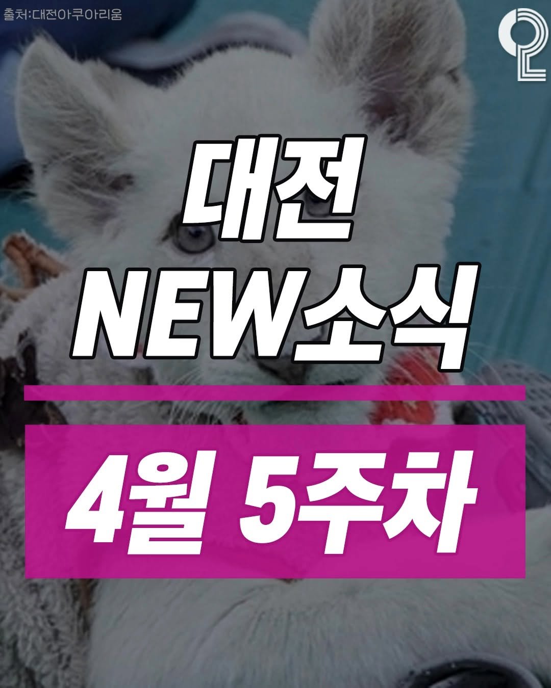 all.about.daejeon 게시물 이미지: 4월 5주차 대전소식 전해드립니다!

❶ 아기사자 보문이
🐯4월 2일 폐사
🐯폐사...