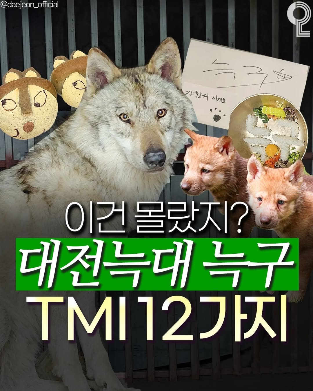 Photo shared by 대전에서 뭐 하지? 대전맛집 대전카페 대전여행 대전가볼만한곳 on April 22, 2026 tagging @all.about.20s. May be an image of poster and text that says '@daejeon_official official @daejeon_ 2 자유치 자웠치 ニ3色 시키도 O 이건 몰랐지? 대전누대 전늑대녹구 늑구 TM12가지'.