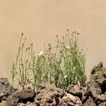 all_zero._.k 인스타그램 프로필 사진