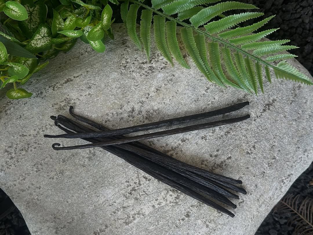 Photo by 올데이바닐라빈🌱 on September 10, 2025. May be an image of fish hook, tongs, hairpin, barrette, tassel and text.