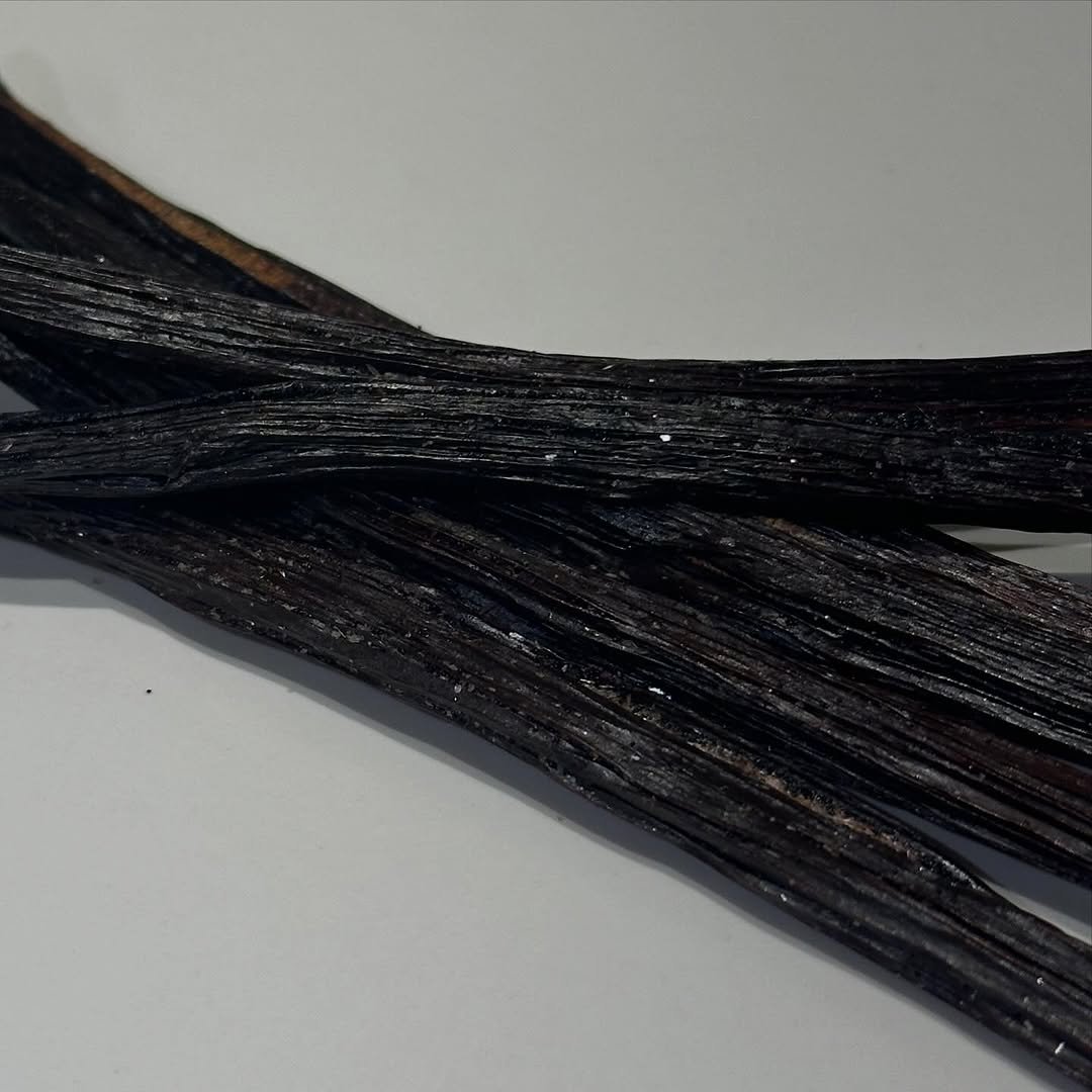 Photo by 올데이바닐라빈🌱 on November 02, 2025. May be an image of leather, tassel and text.