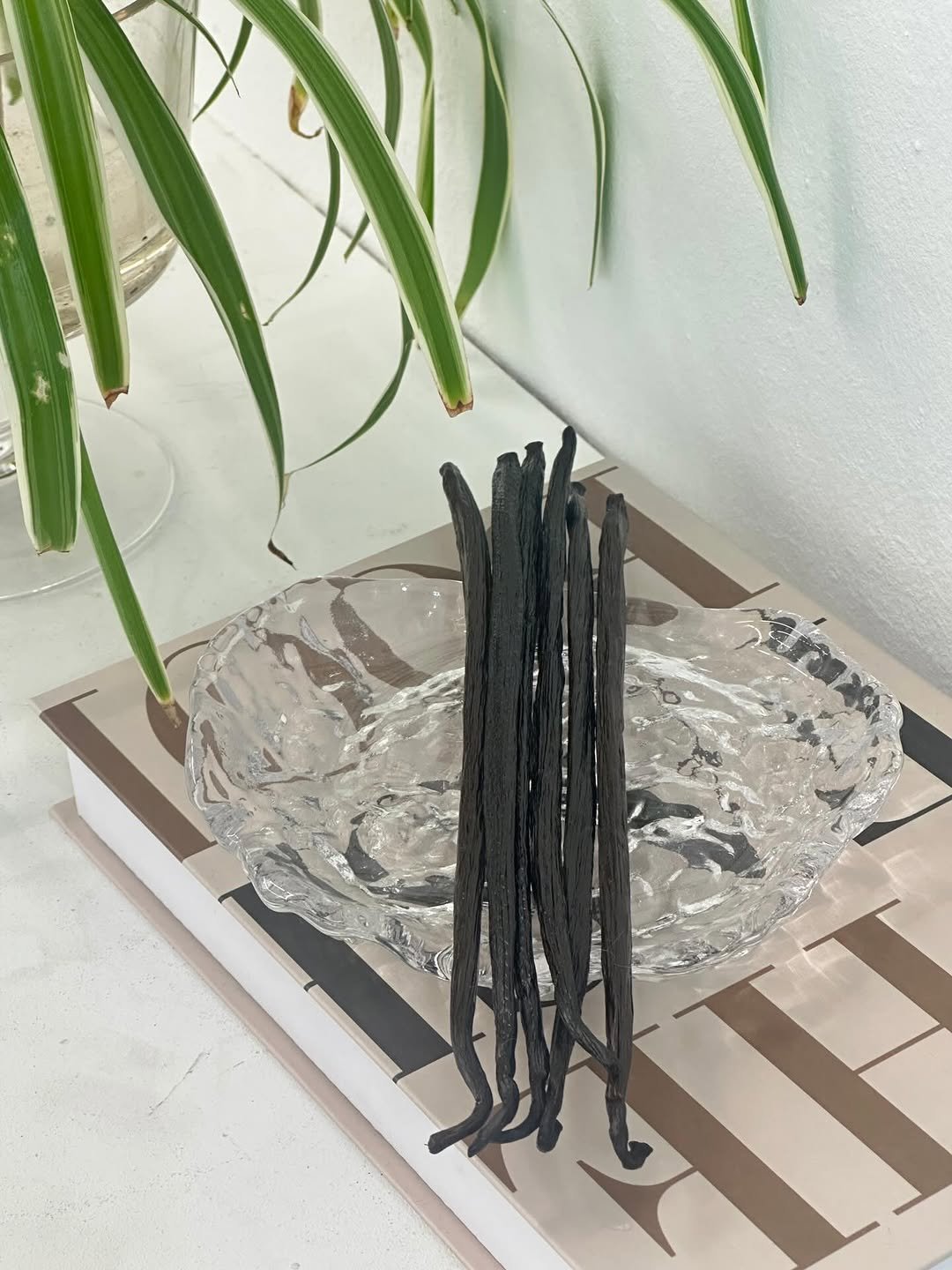 Photo by 올데이바닐라빈🌱 on December 31, 2025.