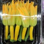 kibokshop 프로필 사진