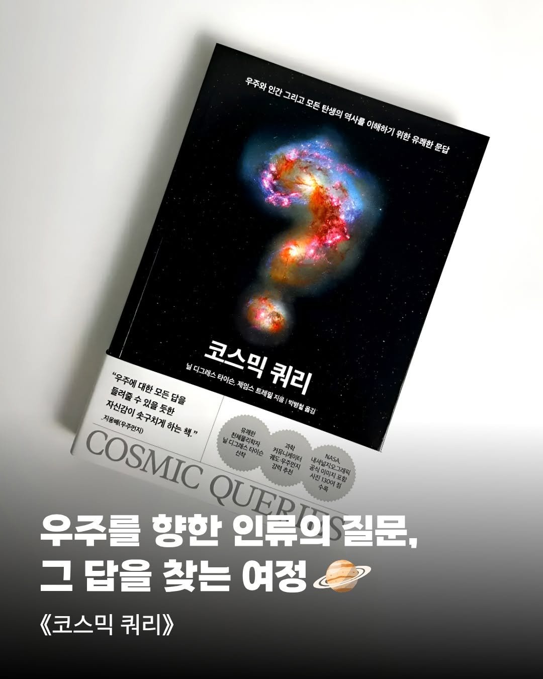 Photo by 알레 on November 13, 2025.