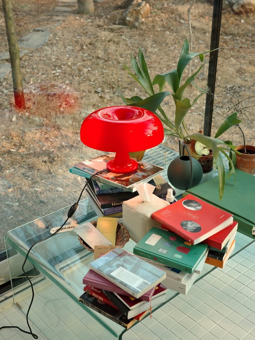 Photo by 융 Ashley on December 29, 2025. May be an image of book, bird feeder, flower pot and text.