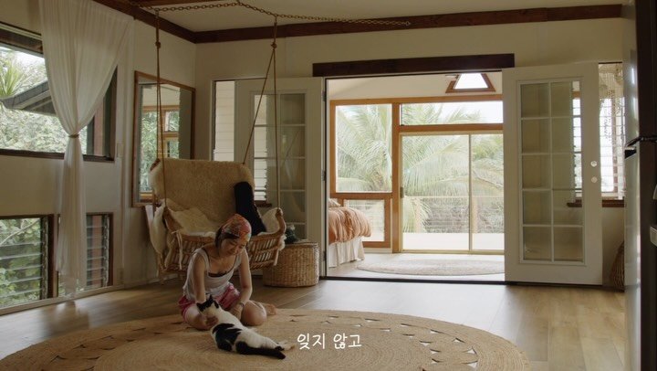 alohayoon 게시물 이미지: 하와이에서 나와 애정을 나눈 존재 중에는 고양이 카누가 있었다.

첫날부터 서로...