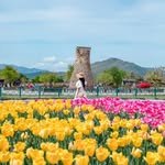 oh.150 프로필 사진