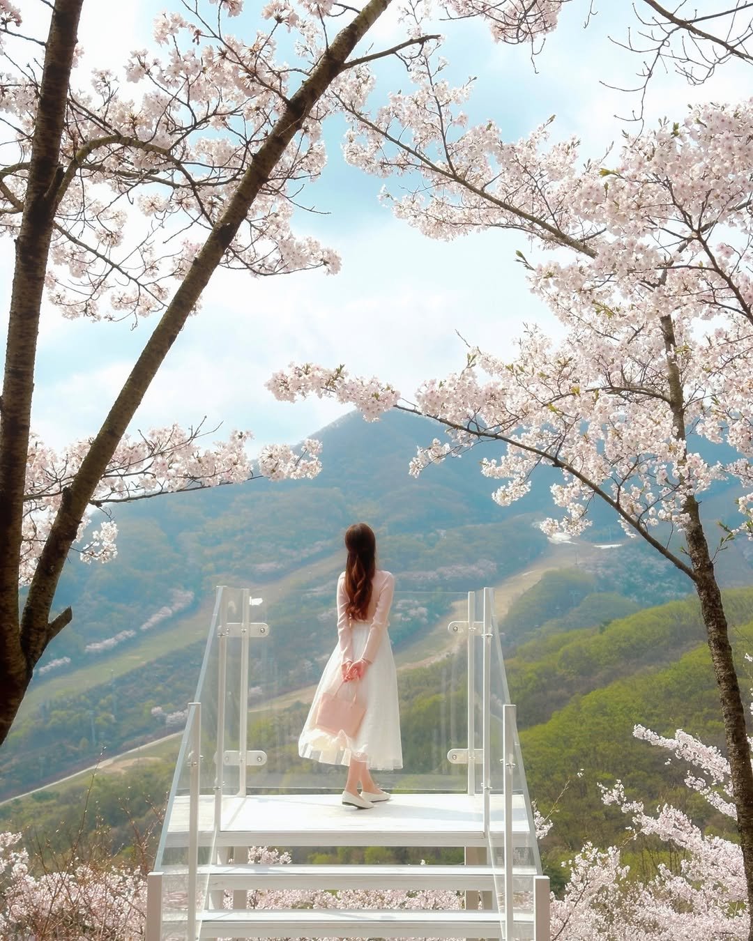 Photo by 다현 | 감성여행가 on March 12, 2025.