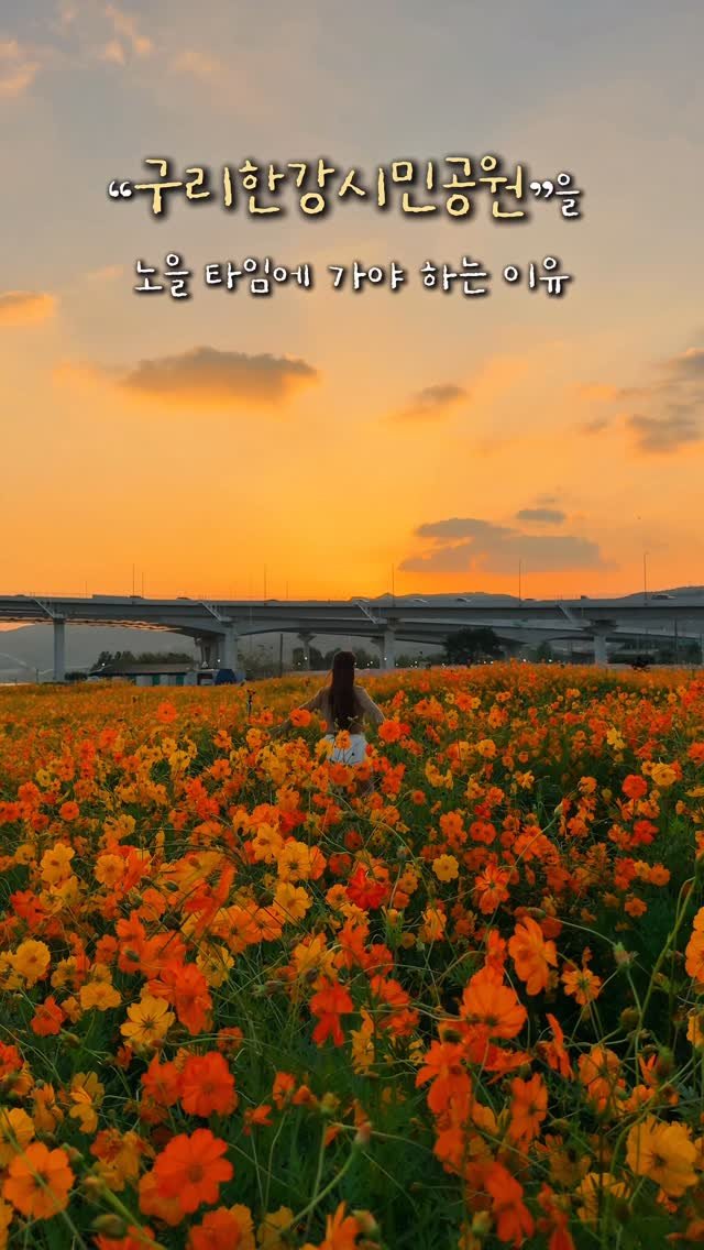alotof_present 게시물 이미지: 🧡 실시간 “구리한강시민공원”을 노을타임에 가야 하는 이유
현 시각...