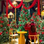 _healing_pic 프로필 사진