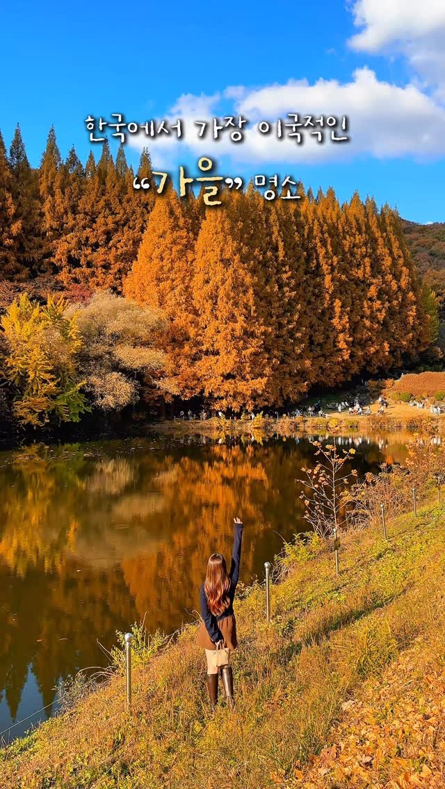 alotof_present 게시물 이미지: 🍁 No.1 한국에서 가장 이국적인 “가을” 명소
이곳은 바로 작년 한 해 가을...