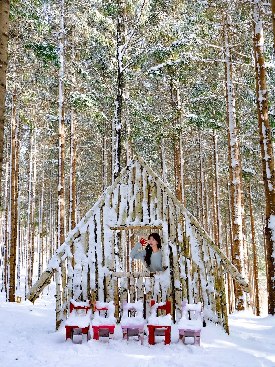 Photo shared by 다현 | 감성여행가 on December 29, 2025 tagging @anifore_official. May be an image of deck chair, tree, snow and text.