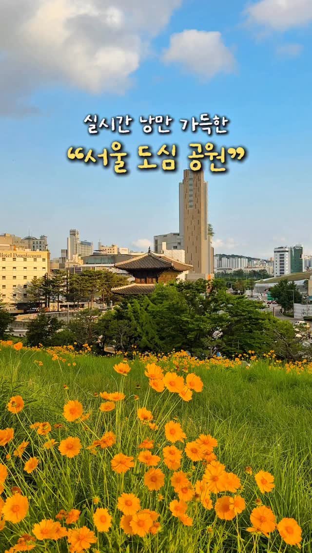 alotof_present 게시물 이미지: 💛 실시간 낭만 가득한 “서울 도심 공원” 

서울 도심 속 낭만을 가득 즐길 수...
