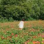 mimm_taste 프로필 사진