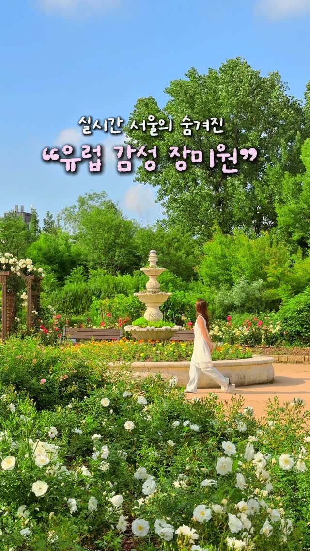 alotof_present 게시물 이미지: 🌹 실시간 서울에 숨겨진 “유럽 감성 장미원” 

이곳은 바로 서울의...