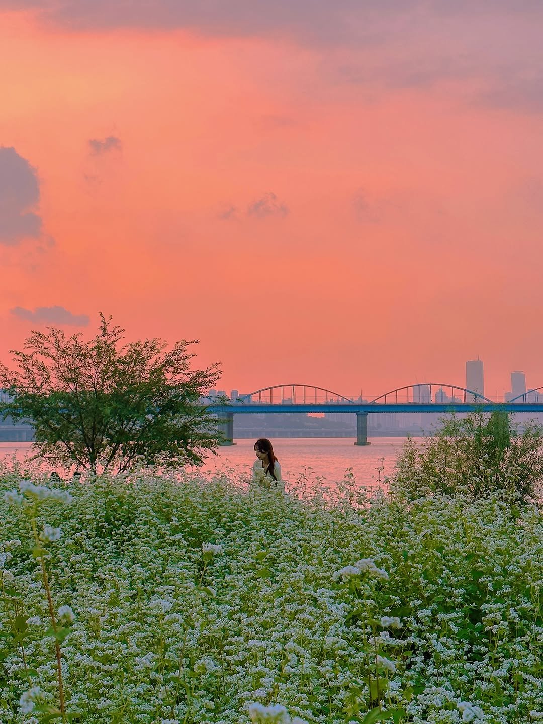 Photo by 다현 | 감성여행가 on October 06, 2025. May be an image of 1 person, twilight, nature, bridge and text.