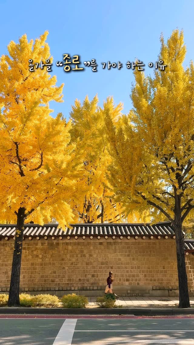alotof_present 게시물 이미지: 🍂 올가을 “종로”를 무조건 가야 하는 이유
날씨가 점점 선선해 지면서 가을의...