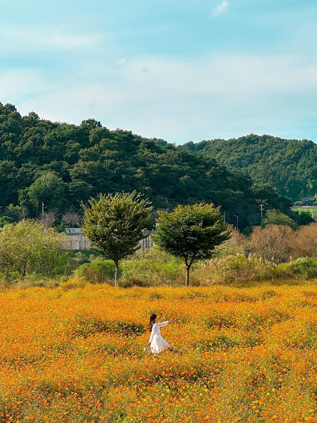 Photo by 다현 | 감성여행가 on October 01, 2025. May be an image of 1 person, outdoors and text.