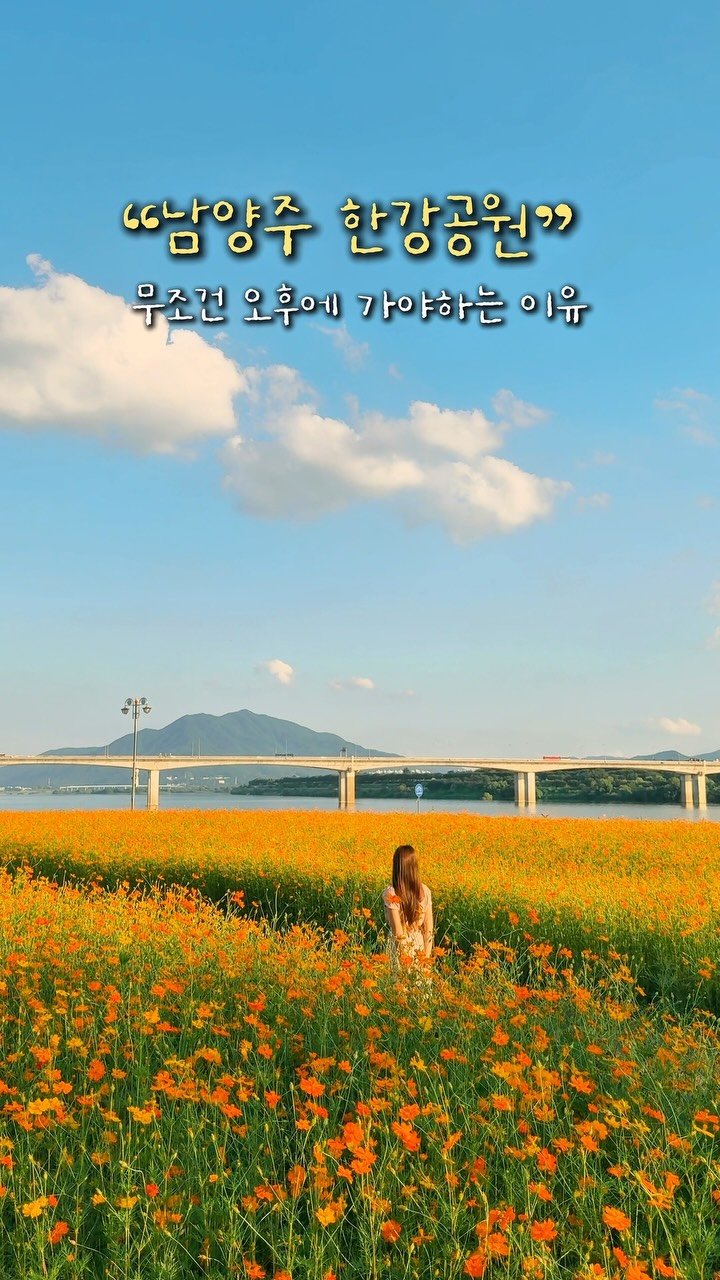 alotof_present 게시물 이미지: 🧡 실시간 “남양주 한강공원”을 오후에 가야 하는 이유
현 시각 남양주 한강공원...