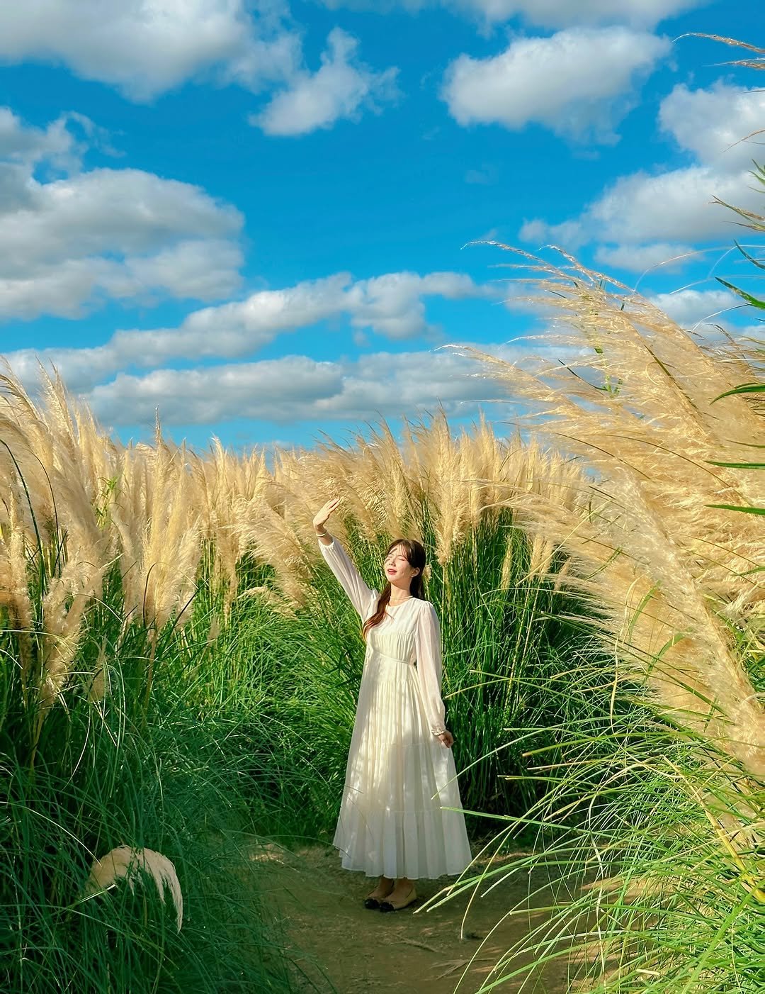 Photo by 다현 | 감성여행가 on August 16, 2025. May be an image of 1 person, gown, grass and text.