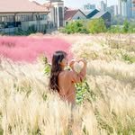 ramy_view 프로필 사진