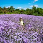 jjoo_kkot 프로필 사진