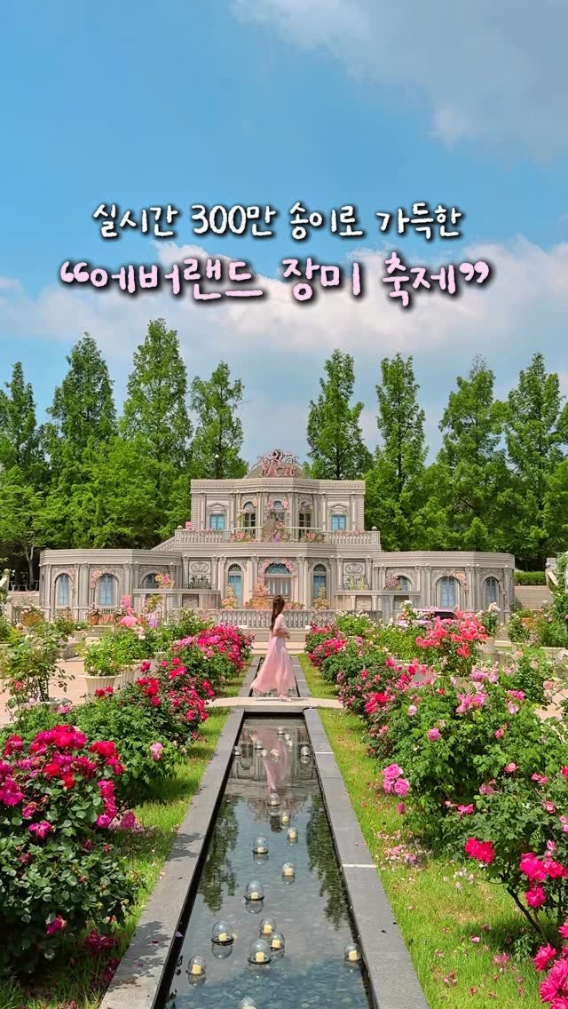 alotof_present 게시물 이미지: 🌹 실시간 300만 송이의 ”에버랜드 장미축제“ *제작지원 

지금 에버랜드는...