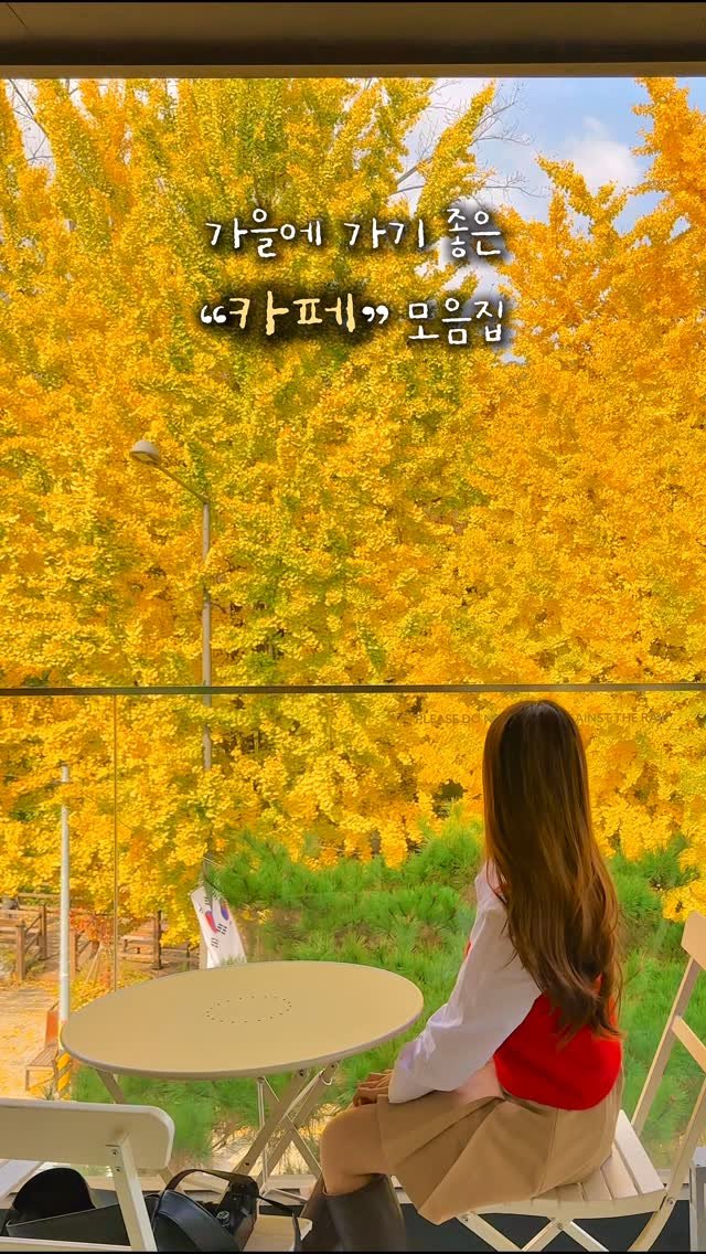 alotof_present 게시물 이미지: 📁 올가을에 가야 할 “카페“ 모음집
이번 연휴를 끝으로 올가을 단풍 소식이...