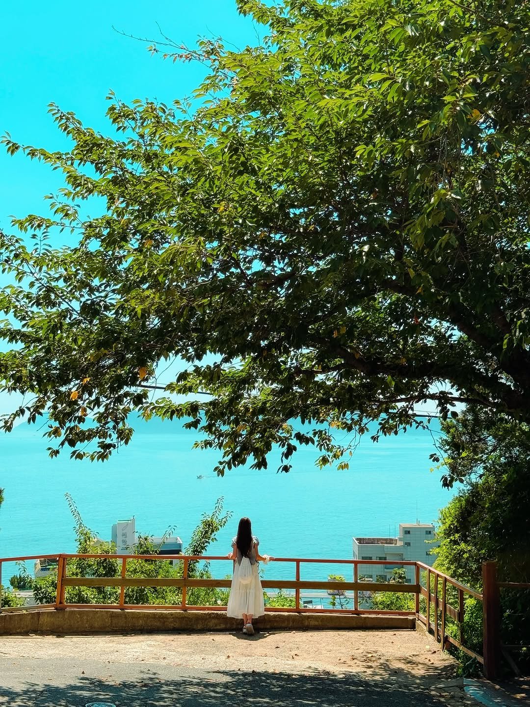 Photo by 다현 | 감성여행가 on August 20, 2025. May be an image of 1 person, outdoors and text.