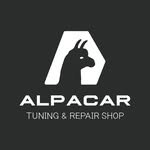 alpacar2022 인스타그램 프로필 사진