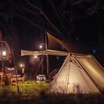 bluelemon_kr 프로필 사진