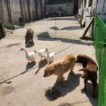 kei9998 프로필 사진