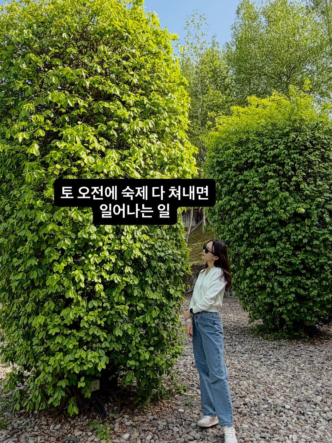 Photo by 알파맘 | 초등교사 | 엄마표 | 육아기록 | 공부기록 on April 19, 2026. May be an image of baby's-breath, outdoors and text that says '토 오전에 숙제 다 쳐내면 일어나는 일 ቤን'.
