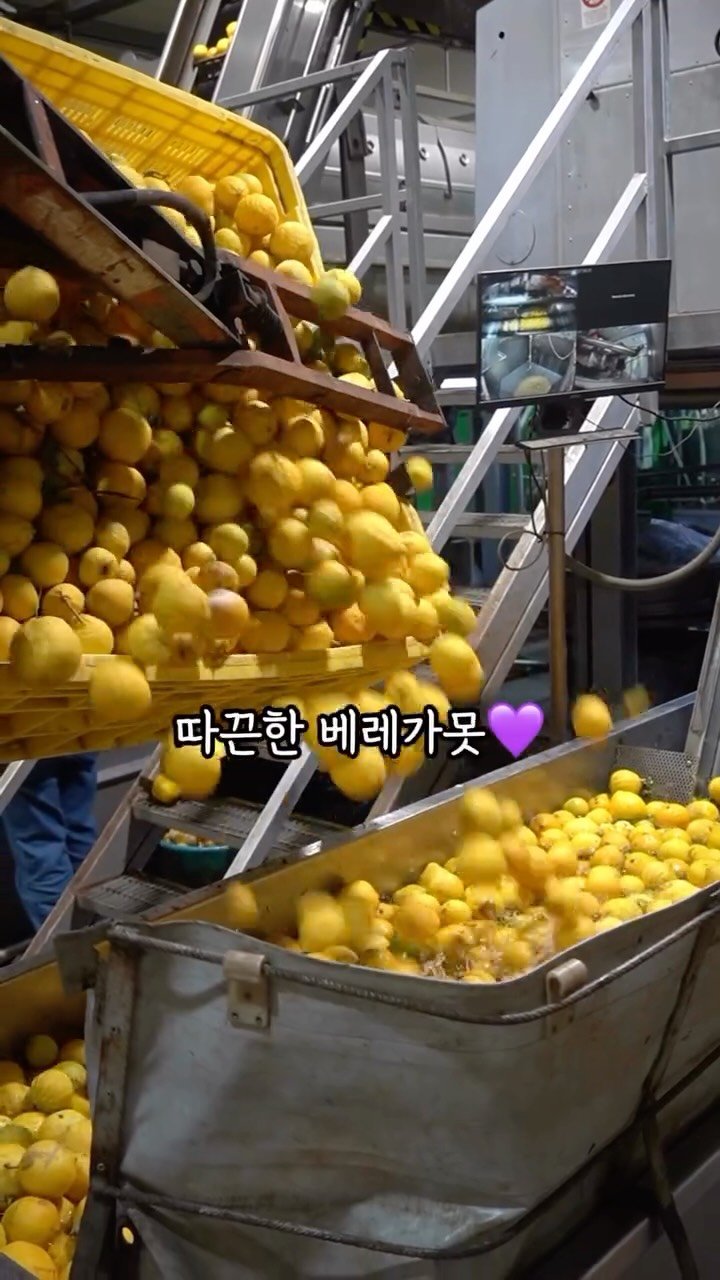 alroa_home 게시물 이미지: 드디어 옵니다 🫶🏻 
유기농 베르가못 100% 원액 + 이태리 프리미엄...