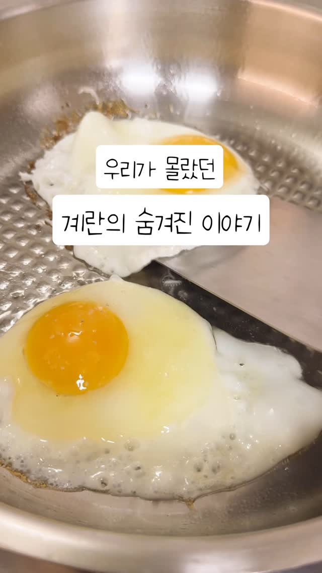 alroa_home 게시물 이미지: 🥚계란 얼마나 알고 계셨어요? 

오늘 제 목소리가 좀 강했죠? 어쩔수 없어.....